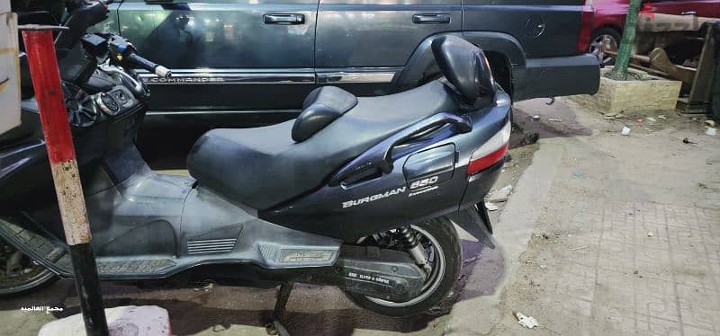 سزوكي بيرج مان اكساكتيف Bergman 650 executive 0