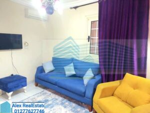 للايجار المفروش الراقى كليوباترا 27,000 ج.م