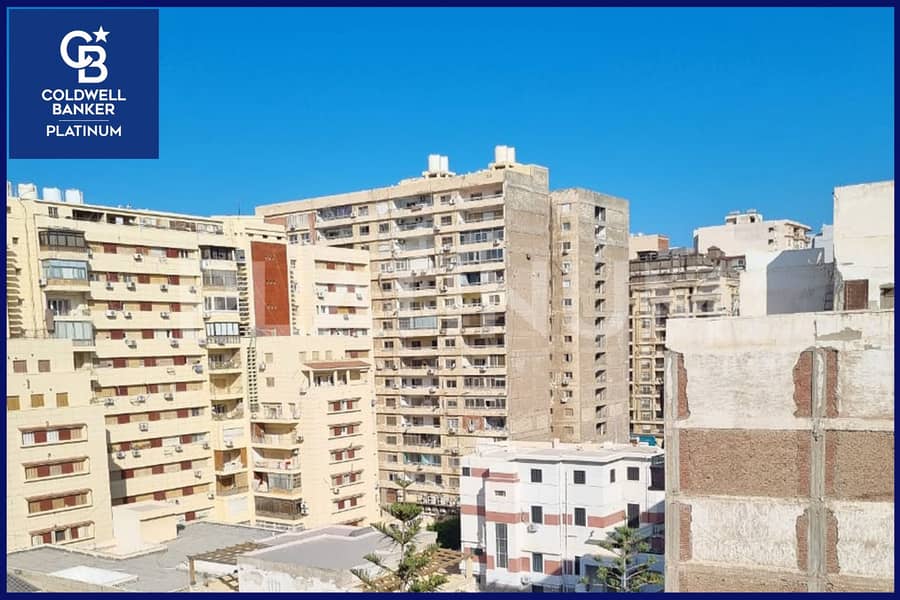 شقة للبيع 175 م زيزينيا ( ش ابو قير ) 0