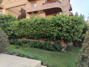 5,850,000 ج.م ارخص شقه ارضى بحديقه2نوم و2حمام البيع وللاستثمار فى الرحاب شقه 120م بحديقه 60م تشطيب خاص مرحله رابعه شقه كفيلا مصغرة للجادين