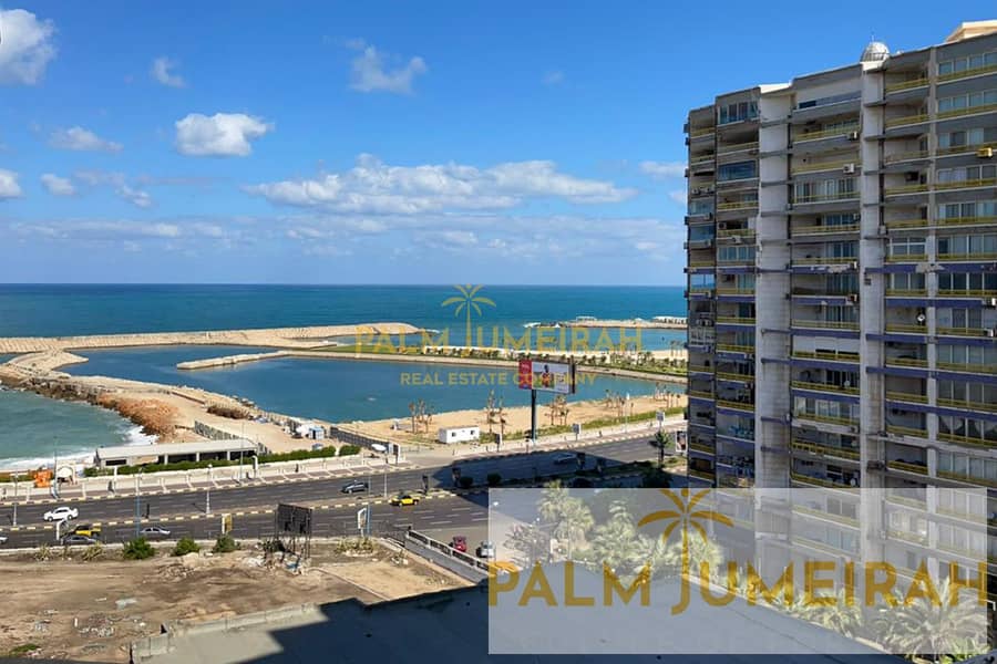 شقة للبيع 305م جليم (خطوات من كلية فنون جميلة و شارع ابو قير) 0