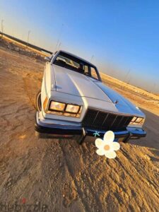 250,000 ج.م بويك بارك أفنيو 1981