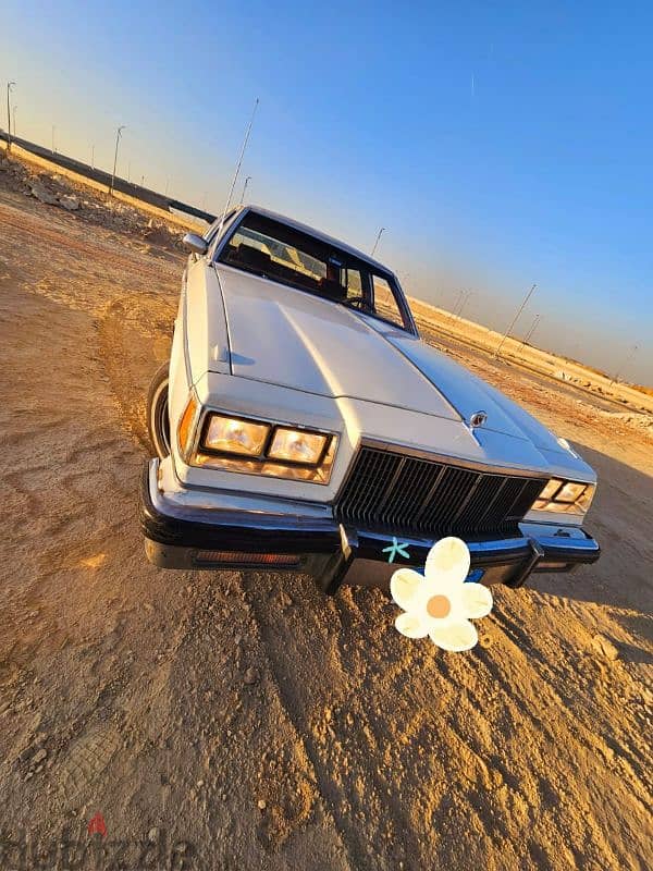 بويك بارك أفنيو 1981 0