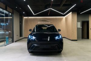 بى واى دى سيجال 2025 byd seagall 770,000 ج.م