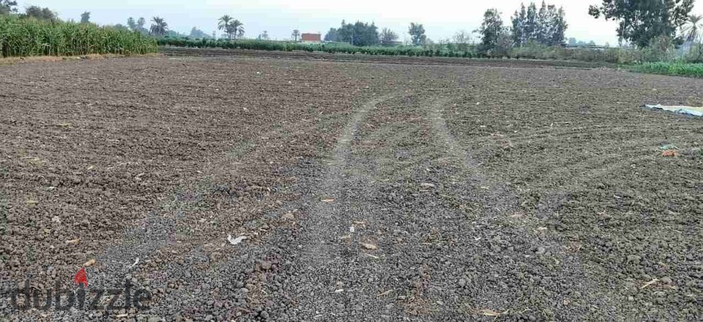 أرض فضاء ٩٠٠م المعمورة الشارع العام الرئيسي مصطفى كامل تصلح ملاعب او مخازن أو جراجات نقل امام محطة قطار الإصلاح محاطة بسور 0