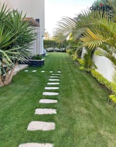 فيب دارج اس برو 1,800 ج.م