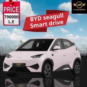 بى واى دى سيجال 2025 byd seagall اقل سعر فمصر 790,000 ج.م