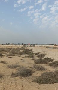 منطقه فوديكو 100,000,000 ج.م