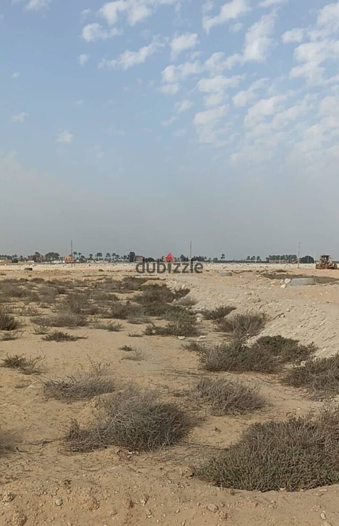 منطقه فوديكو 0