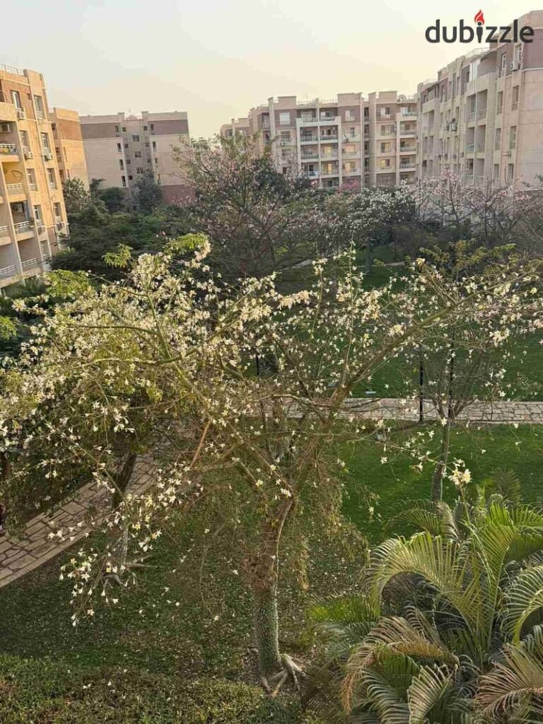 مدينتي شقة ٩٦م بيع B7 وايد جاردن التراسوبر لوكس 0