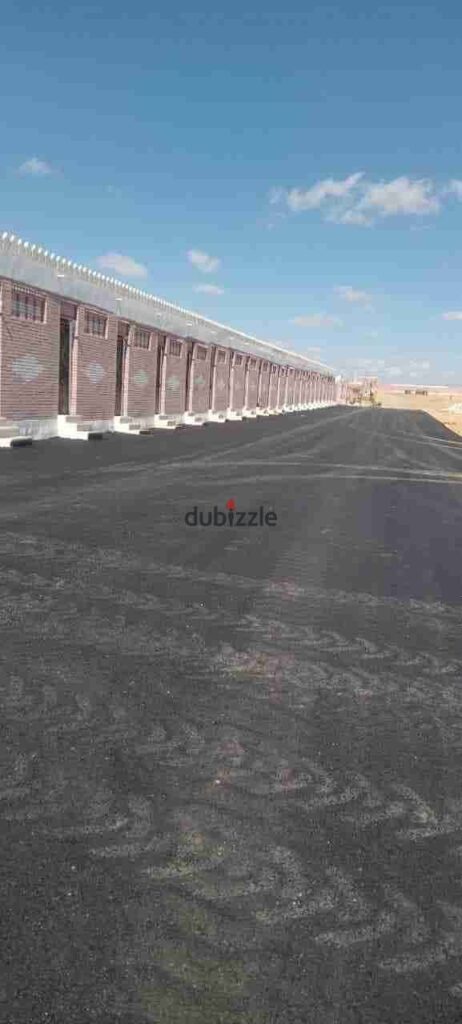 مدفن للبيع نقل ملكيه في محافظة الجيزة إدارة الجبانات 0