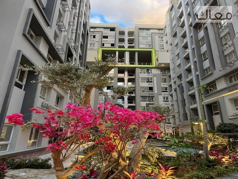 شقه استلام فوري بجوار كارفور المعادي بمقدم 50% فقط و تقسيط الباقي علي 3 سنين في كومباوند ساكن و عايش بالفعل بمساحه 175م 0