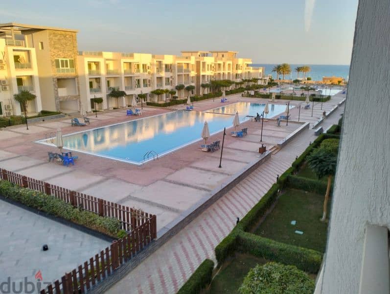 شاليه فندقي للايجار السكني بالعين السخنه 0