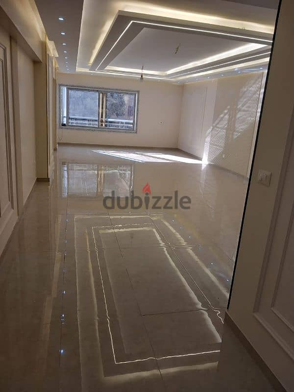 شقه فندقيه ٢٥٠ متر 0