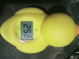 300 ج.م شبرا مصر