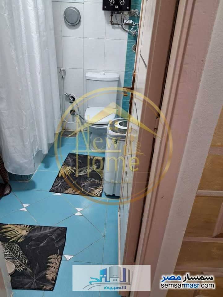 جناكليس شارع ابو قير 0