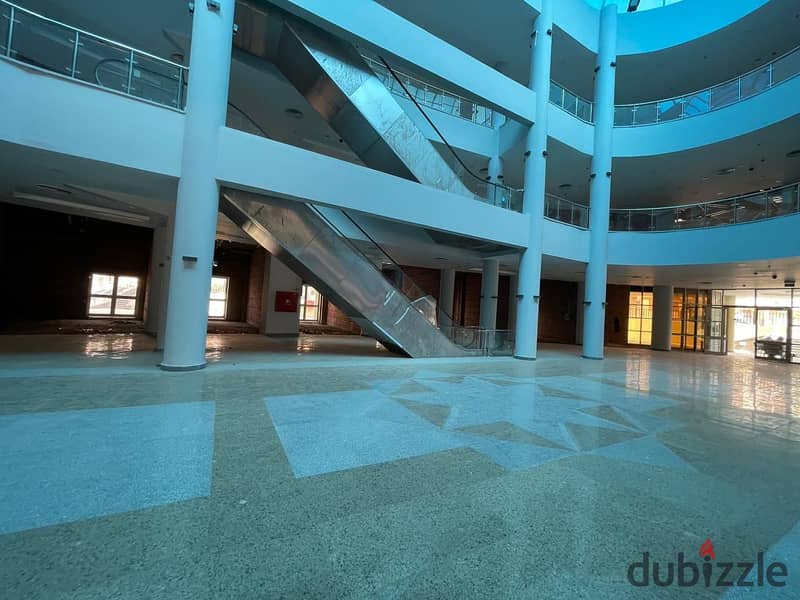 محل للايجار يصلح معرض سجاد 57 متر في الشيخ زايد الحي ال 16 امام مول مزار مباشرة 0