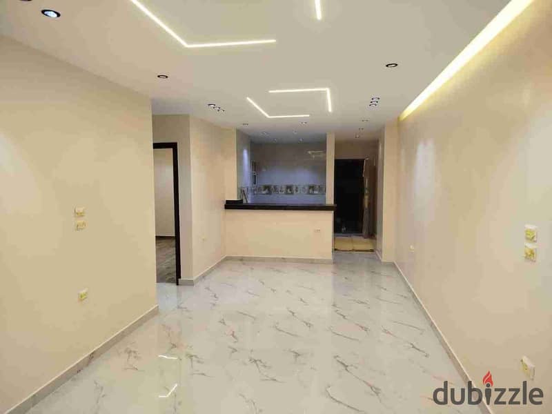 شقه 100 متر الدور الأول  شارع الخزان بحدائق الاهرام 0