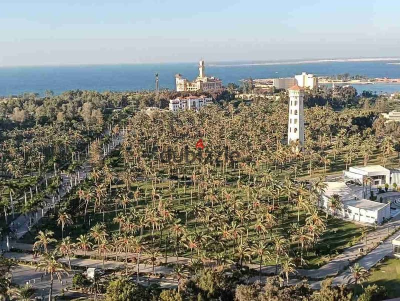 شقه للايجار مستوى عالي فيو تحفه 0