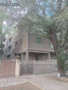 51,000,000 ج.م عماره للبيع في مصر الجديده