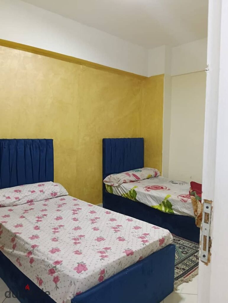 شقه  مفروشه للايجار اليومى بالمندرا بحرى 0