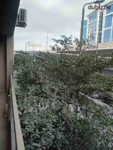 25,000 ج.م مقر اداري للايجار بدون فرش بموقع متميز جدا بزهراء المعادي اشجار دارنا يصلح لجميع الأنشطة والشركات والعيادات