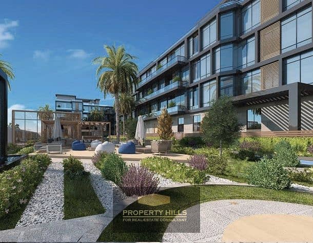 شقه بجوار الربوه فى الشيخ زايد القديمه بجوار النادى الاهلى بالتقسيط 0