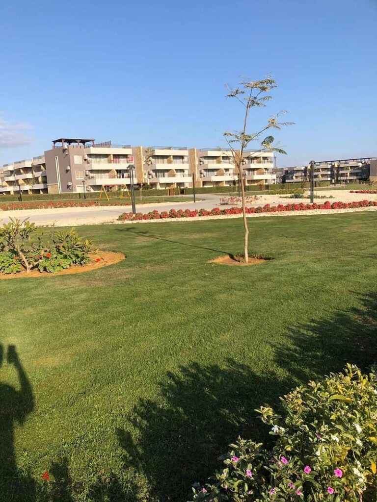 اخر ستوديو ريسيل جاهز على الفرش متشطب بالكامل استلام فوري متاح للمعاينة في العين السخنة بفيو على حمام السباحة 0