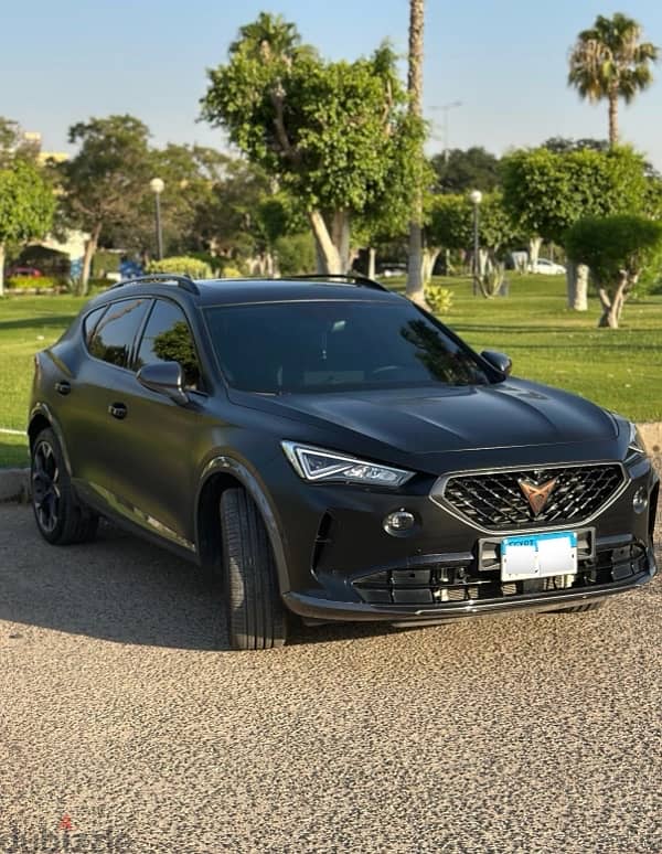 كوبرا فورمينتور 2024 0