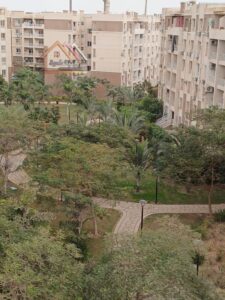 “حصري شقه للايجارتشطيب شركه 11,000 ج.م