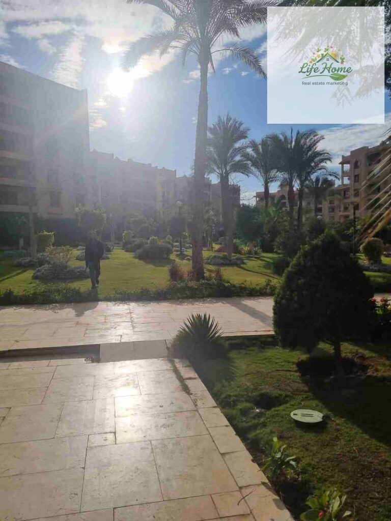 شقه قانون ثلاث غرف للايجار في الرحاب قريب للخدمات 0