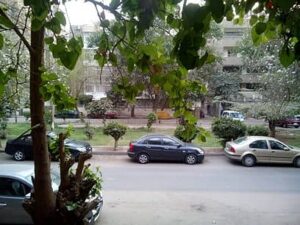 شقة المعادي باليوم من المالك قريبة للمترو/مستشفى القوات المسلحة 300 ج.م