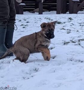 3,000 ج.م Kenwood pure juice machine