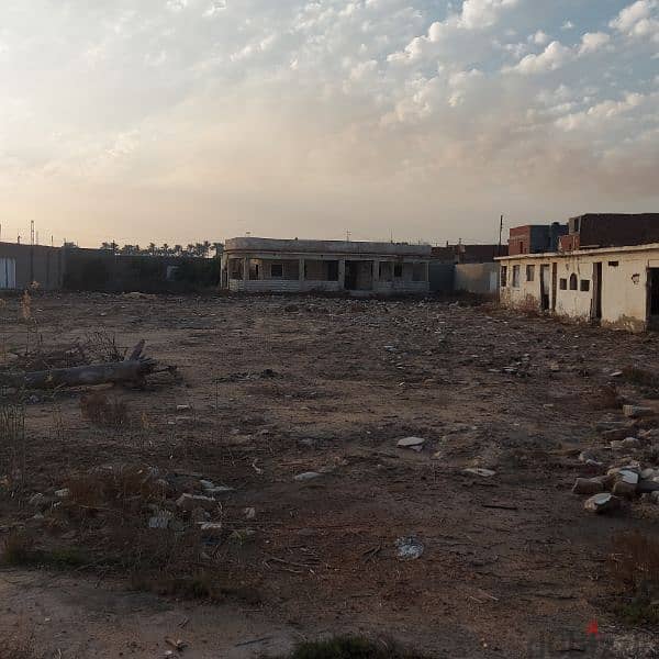 أرض ٣٢٠٠ م٢ على البحيرة مباشرة زرزارة المعدية 0