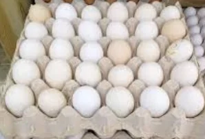 بيض بلدي كرتونة 30 بيضة