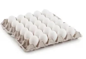 بيض أبيض كرتونة 30 بيضة