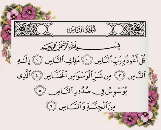 الدعاء هو العبادة .. - صفحة 41 %D8%B5%D9%88%D8%B1-%D8%A8%D9%88%D8%B3%D8%AA%D8%A7%D8%AA-%D9%81%D9%8A%D8%B3-%D8%A8%D9%88%D9%83-%D8%AF%D9%8A%D9%86%D9%8A%D8%A9