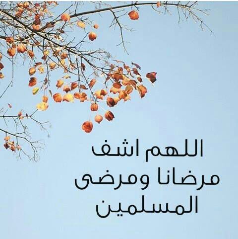 الدعاء هو العبادة .. - صفحة 41 %D8%B5%D9%88%D8%B1-%D8%A8%D9%88%D8%B3%D8%AA%D8%A7%D8%AA-%D9%81%D9%8A%D8%B3-%D8%A8%D9%88%D9%83-%D9%84%D9%84%D9%85%D8%B1%D9%8A%D8%B6